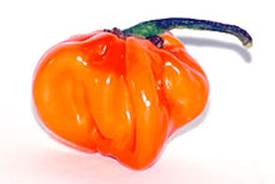 https://upload.wikimedia.org/wikipedia/commons/thumb/7/76/Habanero.jpg/220px-Habanero.jpg