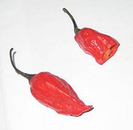 https://upload.wikimedia.org/wikipedia/commons/thumb/3/35/Naga_Jolokia_Peppers.jpg/220px-Naga_Jolokia_Peppers.jpg